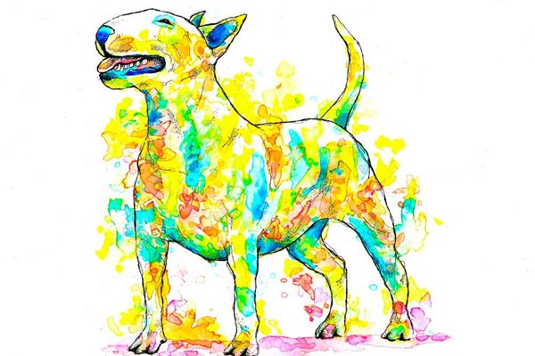 13517461_636674679818685_7207486168710312178_o