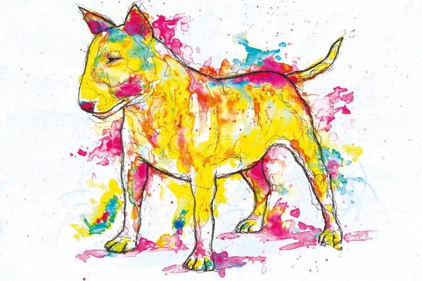 13698300_645710495581770_4663212740254169634_o