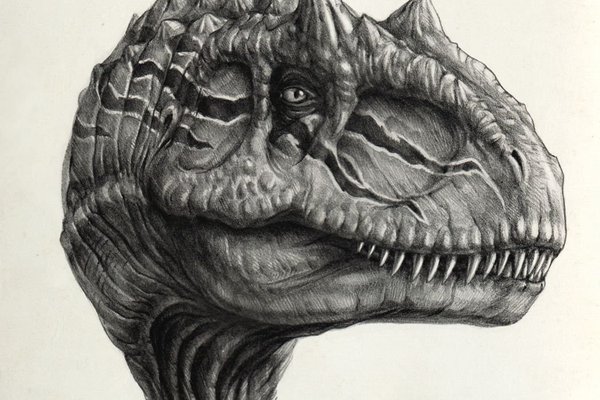 1655414271_3-papik-pro-p-tattoo-drawings-dinosaur-3