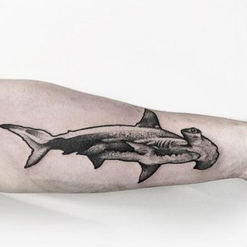 17-Best-Simple-Shark-Tattoo-Ideas-1