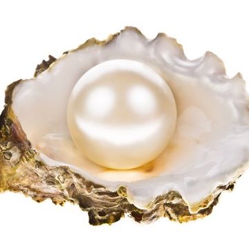 24f29a3a41df0f55aea23a7a4ae43b5c