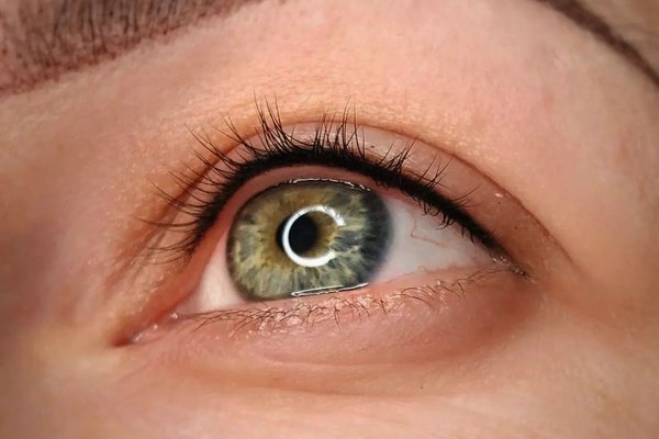 335825067_877470863364386_5397183082013678528_n