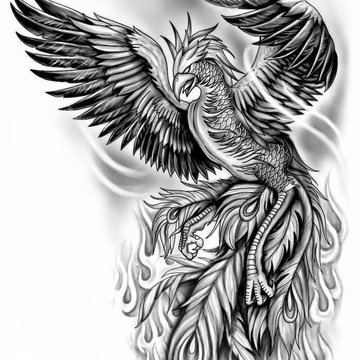 37ck3161sqnkhtxtffaej19eg4_image