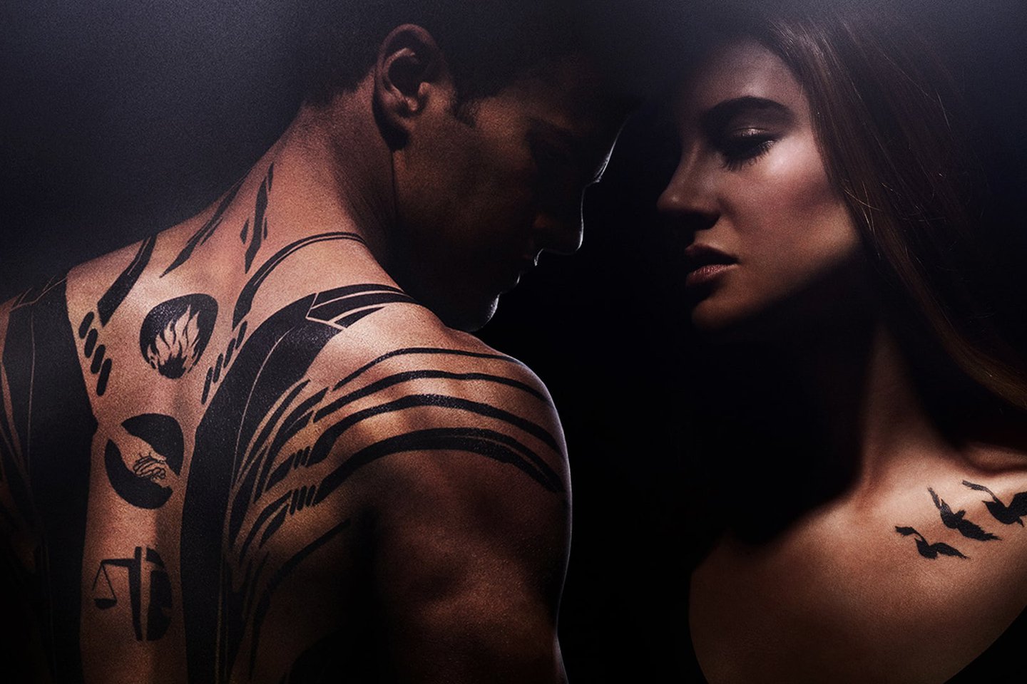 5534161-divergent-wallpapers.jpg