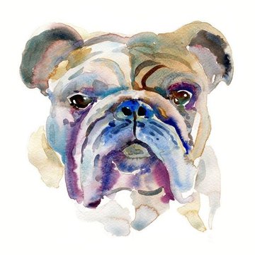 83c8d545451ff534f437ad2f86035a44