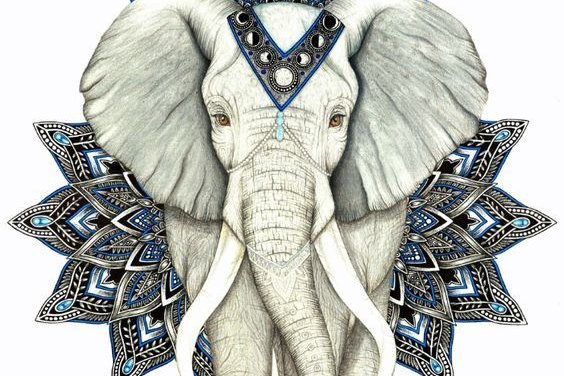 89871be1f5b2df297e0c9f24bda965d5