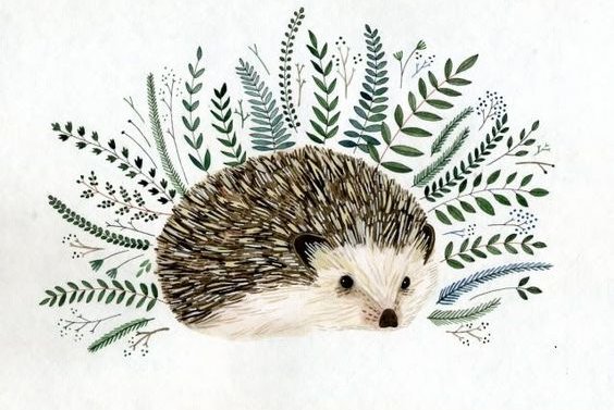 9c4c745991ef5436265663667844b13b