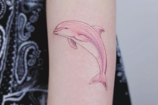 A-DOLPHIN-tattoo-can-look-gorgeous-anywhere-on-your-body-3