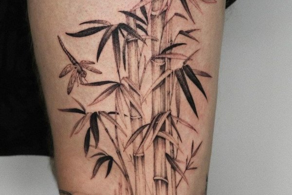Bamboo-Tattoo-1024x1024