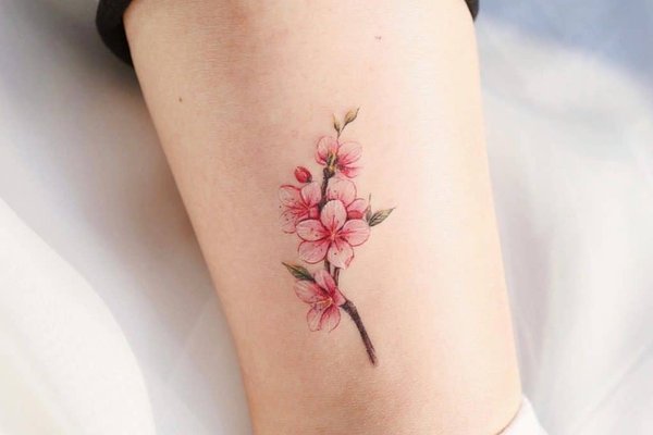 Cherry-Blossom-Flower-Tattoos-1-1024x1024