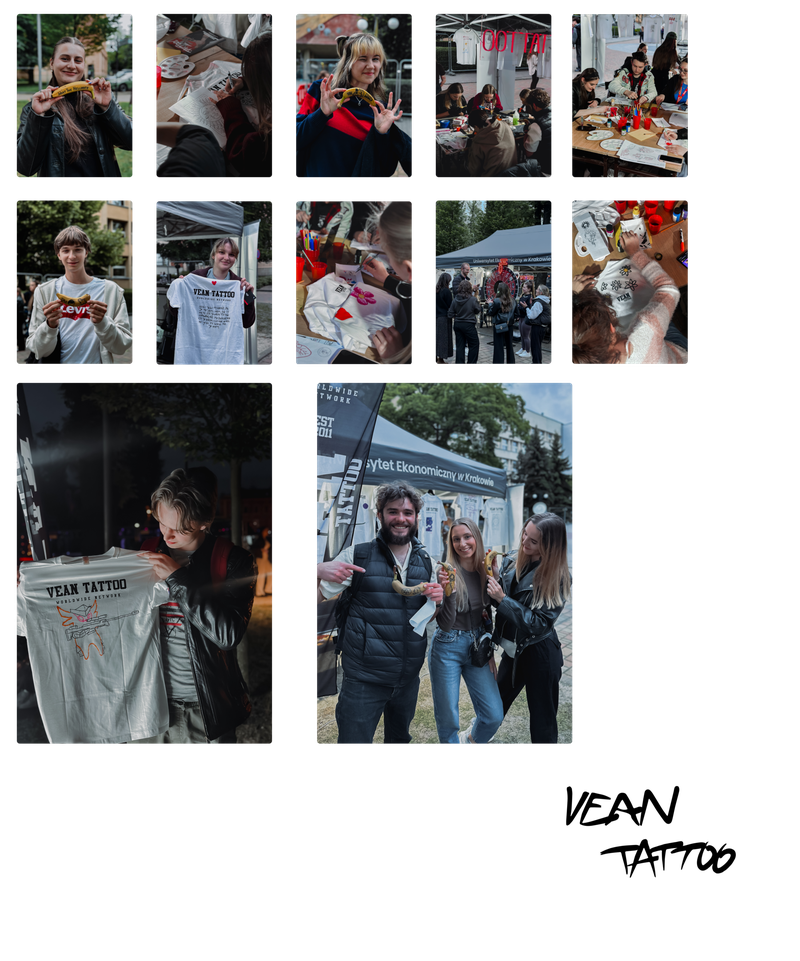 FEST (2)