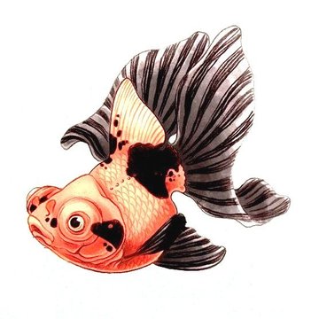 Goldfish (2)