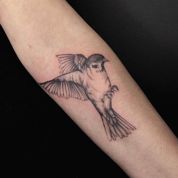 Nobble-Sparrow-Tattoo