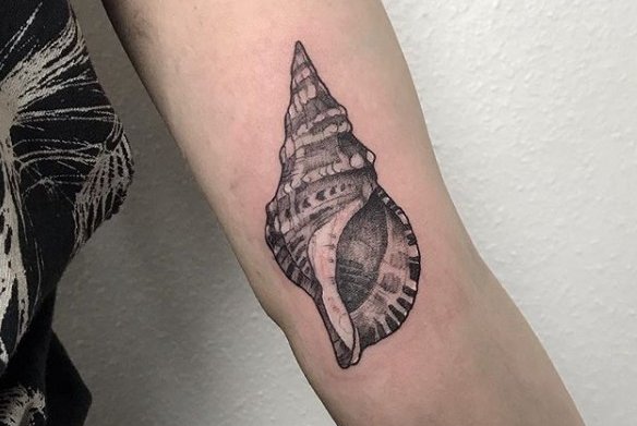 Ракушка (12)