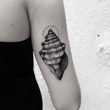 Ракушка (22)