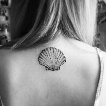 Ракушка (23)