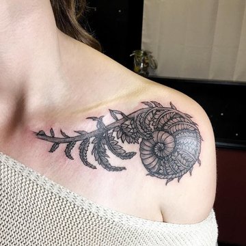 Ракушка (24)