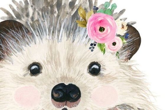 a97a6645fcfb3e2df6b152d771c60e23