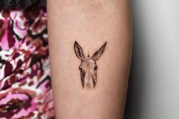 antinktattoo_1699040050561