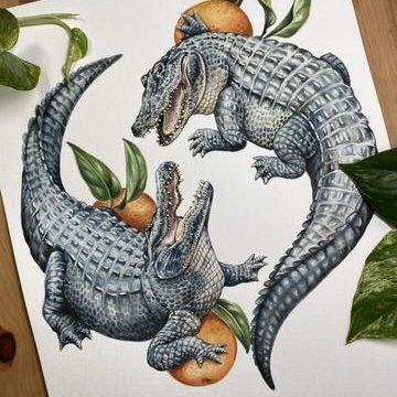 b0356accd0734e6b81673ec712adc4bd