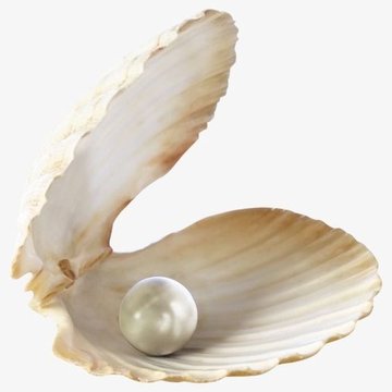 b78f55c78b2cad57a4088bcd3a3b6b0c