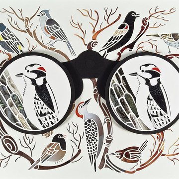 binoculars-and-bird-watching-ikon-ikon-images