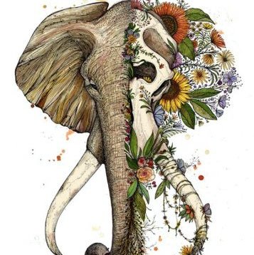 ccb68f5838633d5e26fec2b67e92d217