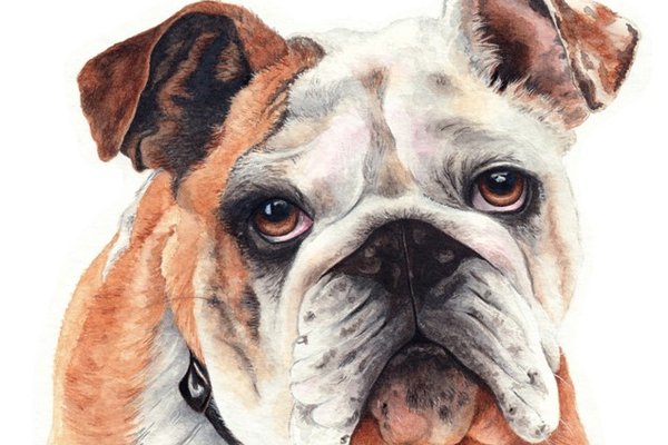 dd37728-ff85a6b2-a363-4450-a953-b44c34b0f818