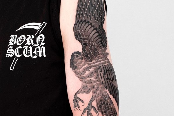 dokgonoing_1699196328344