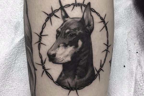 e35f71b257a79bf046403b8646afb379