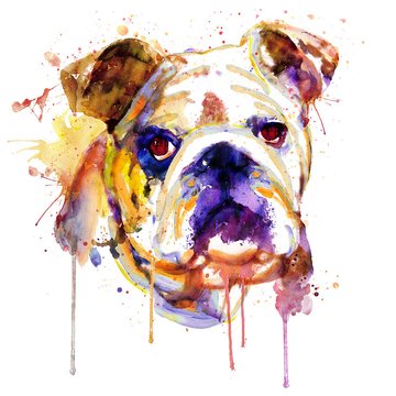 english-bulldog-head-marian-voicu