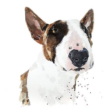 f7c6ac1a79c07088cb95405127822a56