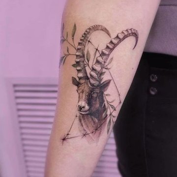 fdc0a36d7b9bcb355aa266c2939dd459