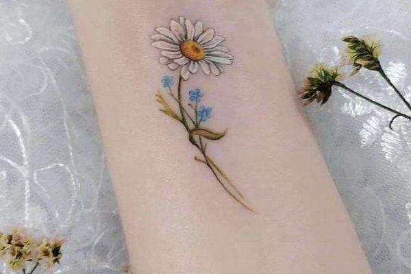 ffgteyhteyjyuste (26)