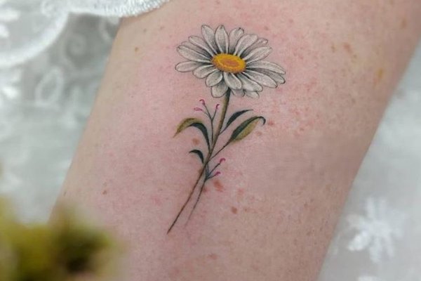 ffgteyhteyjyuste (32)