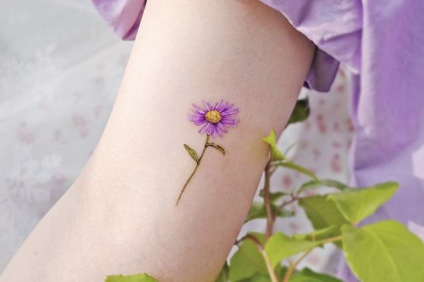 ffgteyhteyjyuste (49)