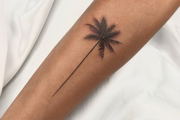 joseosorio.lines_1698875432566