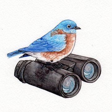 lrowe-bluebird-on-binocs-web