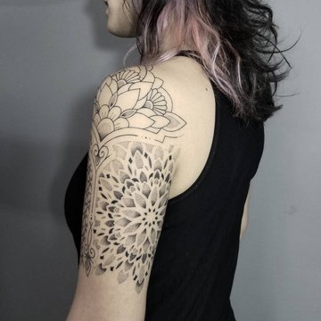 noamyona____1699106518192