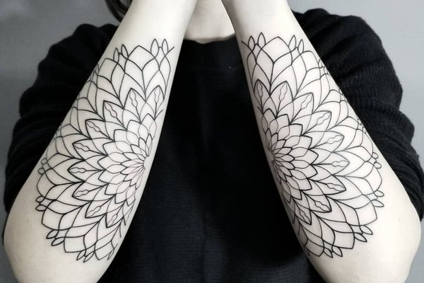 noamyona____1699106495632