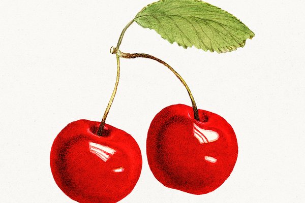 pdwatercolorfruitbatch1-805-aom-1a