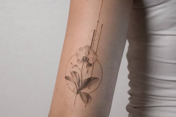 storylines.tattoo_1699195662188