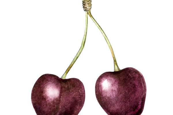 watercolor-black-cherries_307397-903