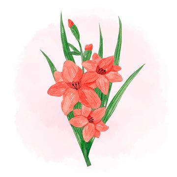 watercolor-gladiolus-flowers-illustration_23-2149457211